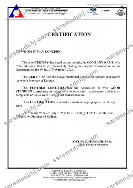Philippines certificate of good standing Word and PDF template
